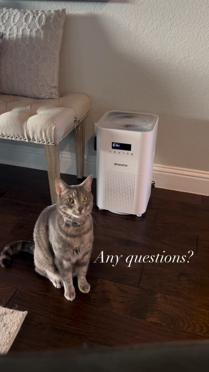 Most requested link! AND on SALE! This automatic air purifier detects air quality and adjusts based on your needs. It is silent and great for homes with pets of all kinds! 

#LTKSaleAlert