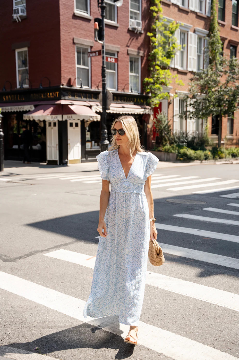 Animal Print V-Neck Flutter Sleeve Maxi Dress | Sail to Sable