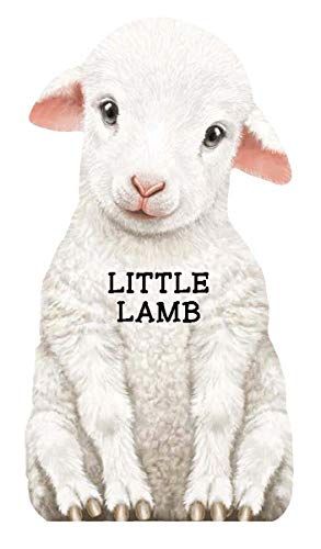 Little Lamb (Mini Look at Me Books) | Amazon (US)