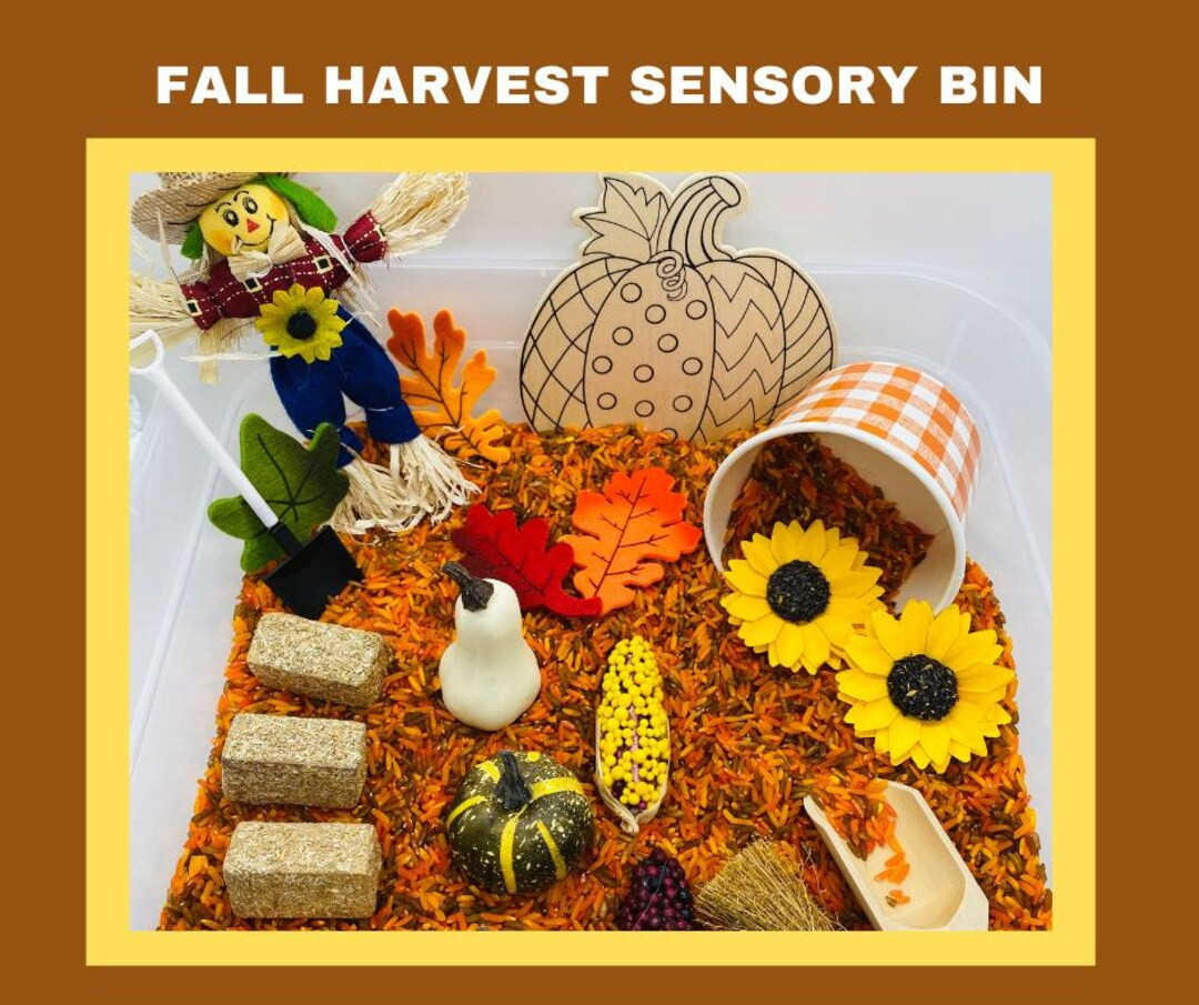 Fall Harvest Sensory Bin Farm Harvest Sensory Bin Autumn Sensory Fall Sensory Play Preschool Fall... | Etsy (US)