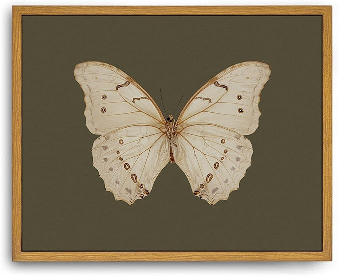 Roslynity Framed Canvas Wall Art Vintage Print White Butterfly Paintings Dark Moody Insect Sage G... | Amazon (US)