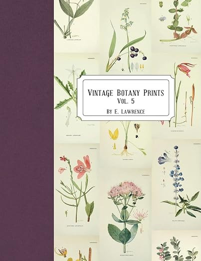 Vintage Botany Prints: Vol. 5 | Amazon (US)