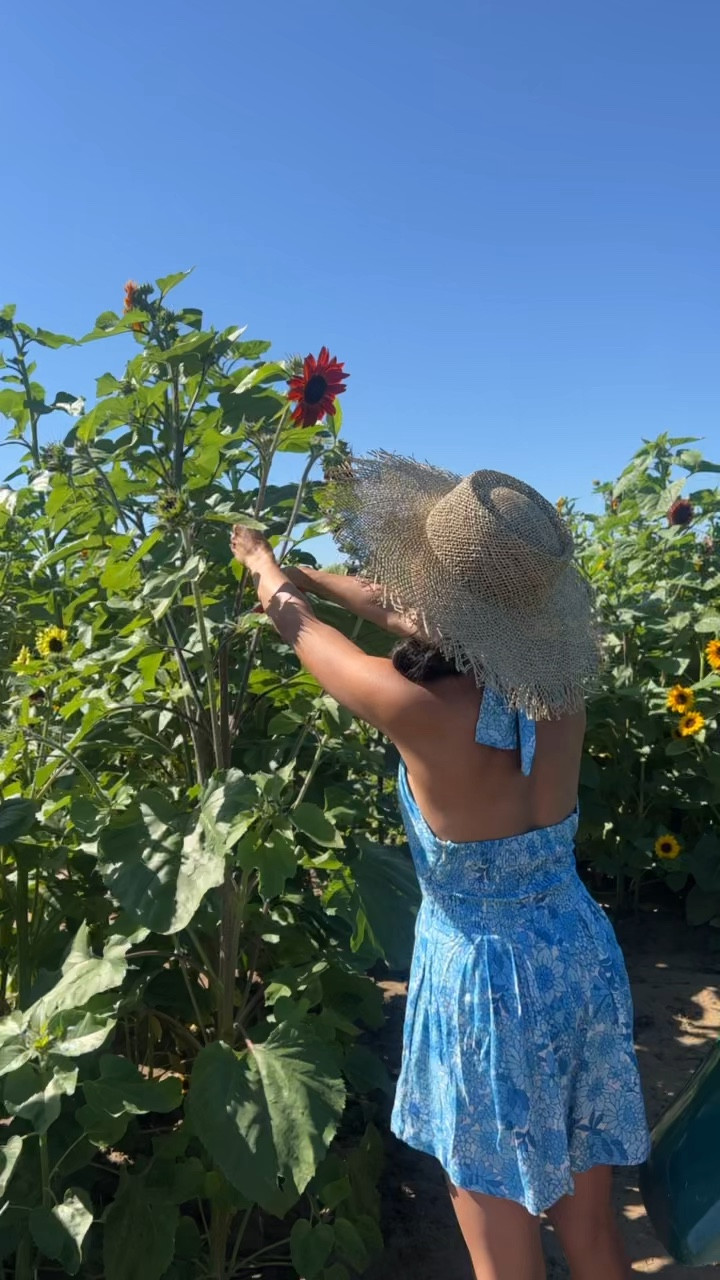 The outfit everyone on IG stories loved! 🥰 Be sure to follow me on Instagram for more fashion finds! @FancyInTheFoothills 

#LTKSeasonal #LTKstyletip #LTKFind