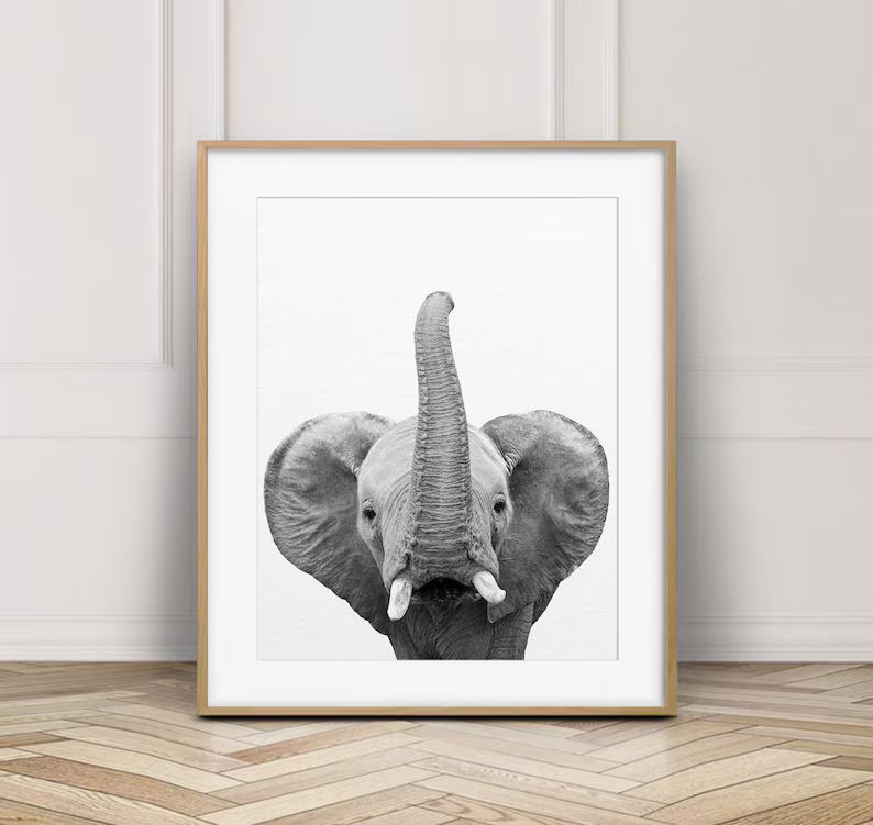 Elephant Print, Safari Animals, Elephant Trunk Up, Black And White Animal Prints, Safari Nursery ... | Etsy (US)