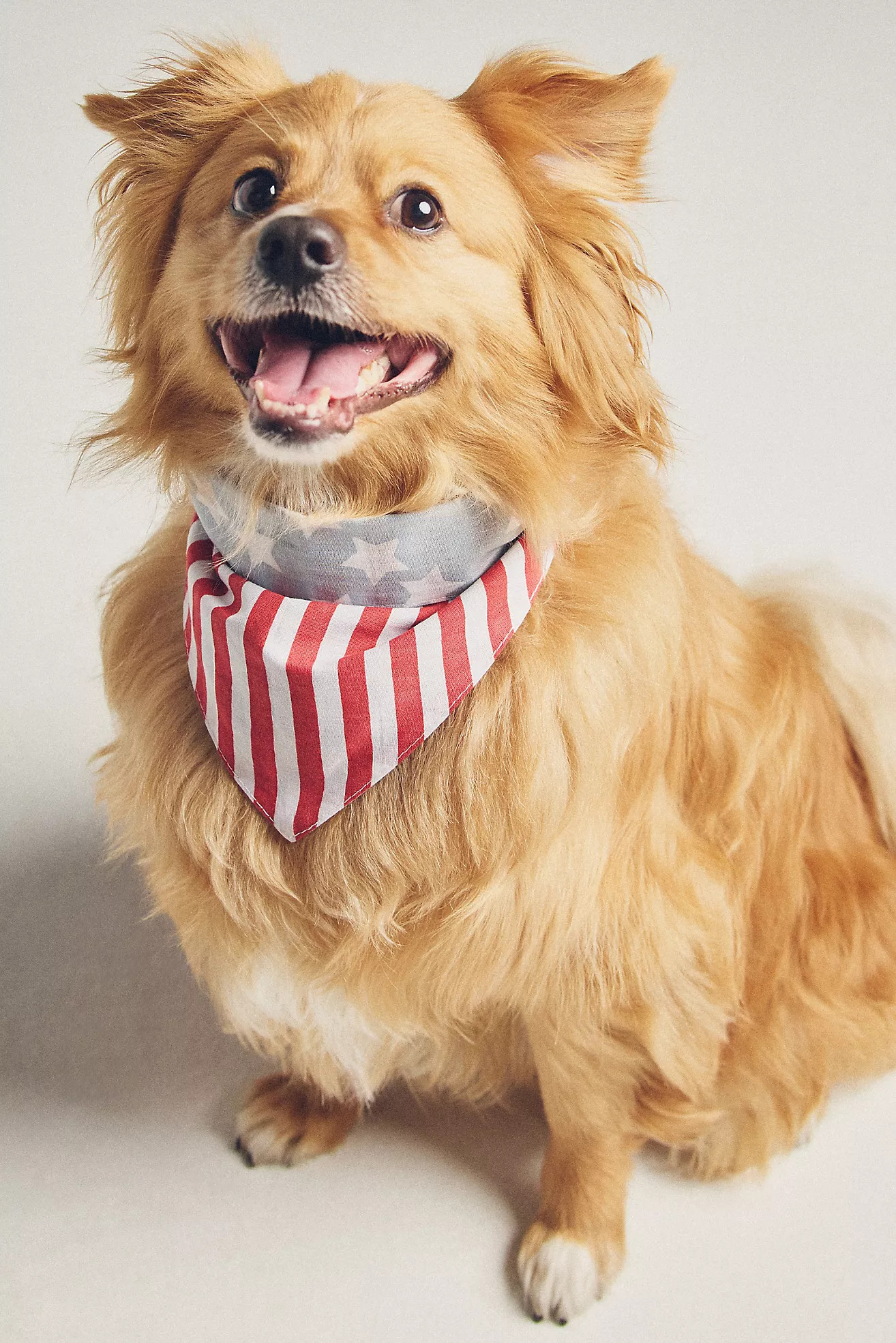FURB Summer Pet Bandana | Anthropologie (US)