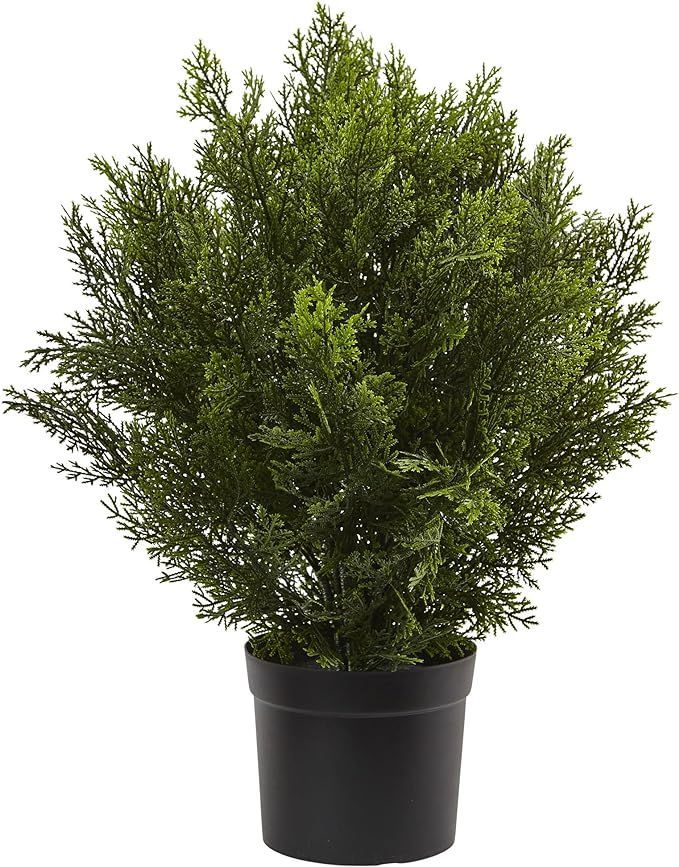 Nearly Natural 2ft. Cedar Artificial Bush (Indoor/Outdoor) | Amazon (US)