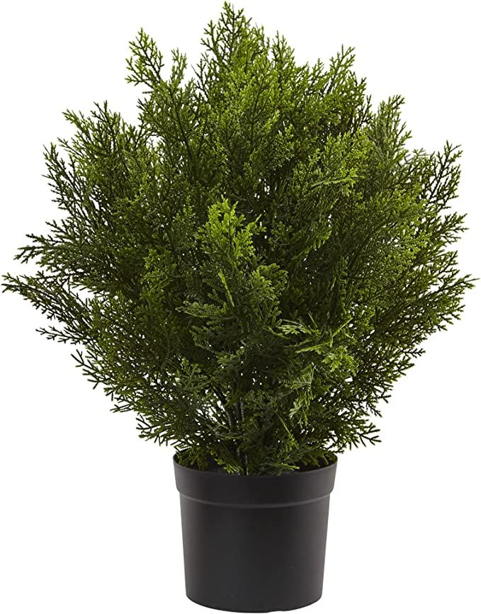 Nearly Natural 2ft. Cedar Artificial Bush (Indoor/Outdoor) | Amazon (US)