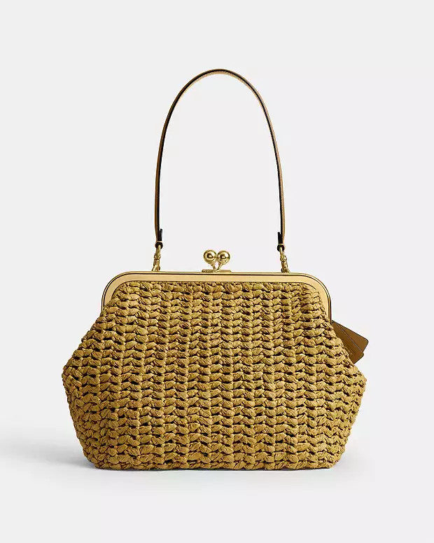 Kisslock Frame Bag 27 | Coach (US)