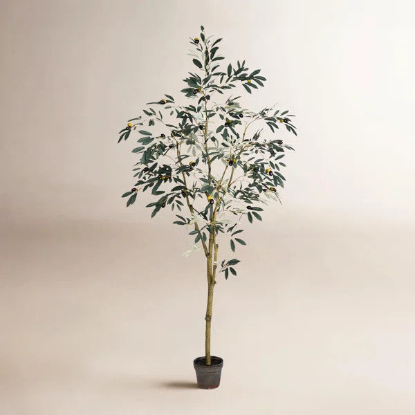 8ft Artificial Olive Tree with 11.4in White Planter, Tall Faux Olive Trees for Indoor | Wayfair North America