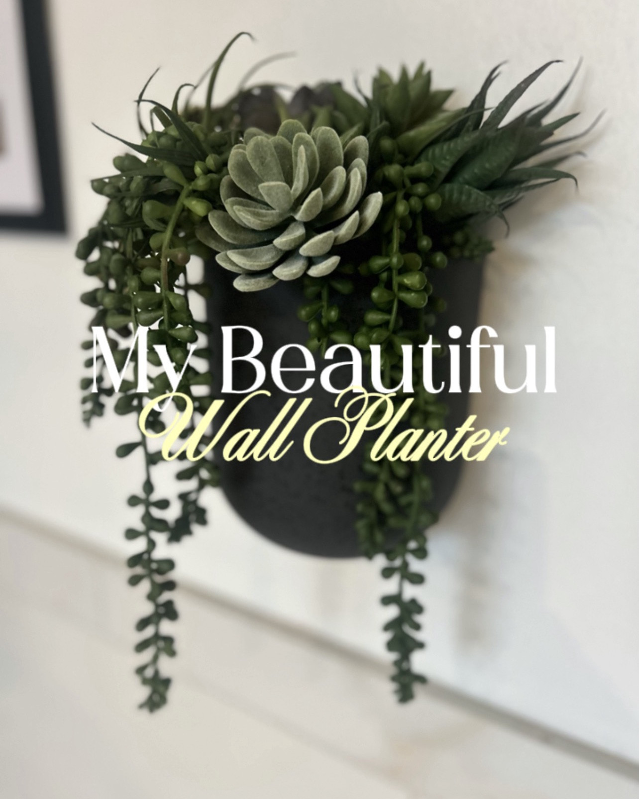 Finally hung up the wall planters in my bathroom and I love them! Filled them with some faux succulents and now my bathroom is my favorite place to be. #walldecor #bathroomdecor #wallplamters

#LTKHome
