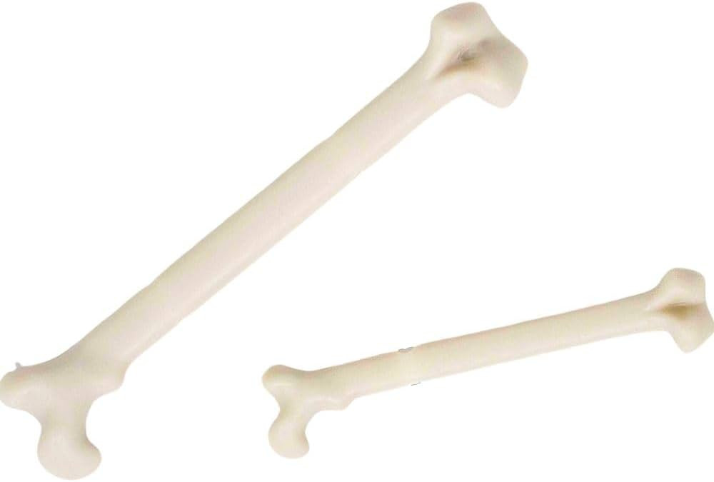 Amscan Halloween Skeleton Bones - 3', 4' - White - Pack of 18 | Amazon (US)
