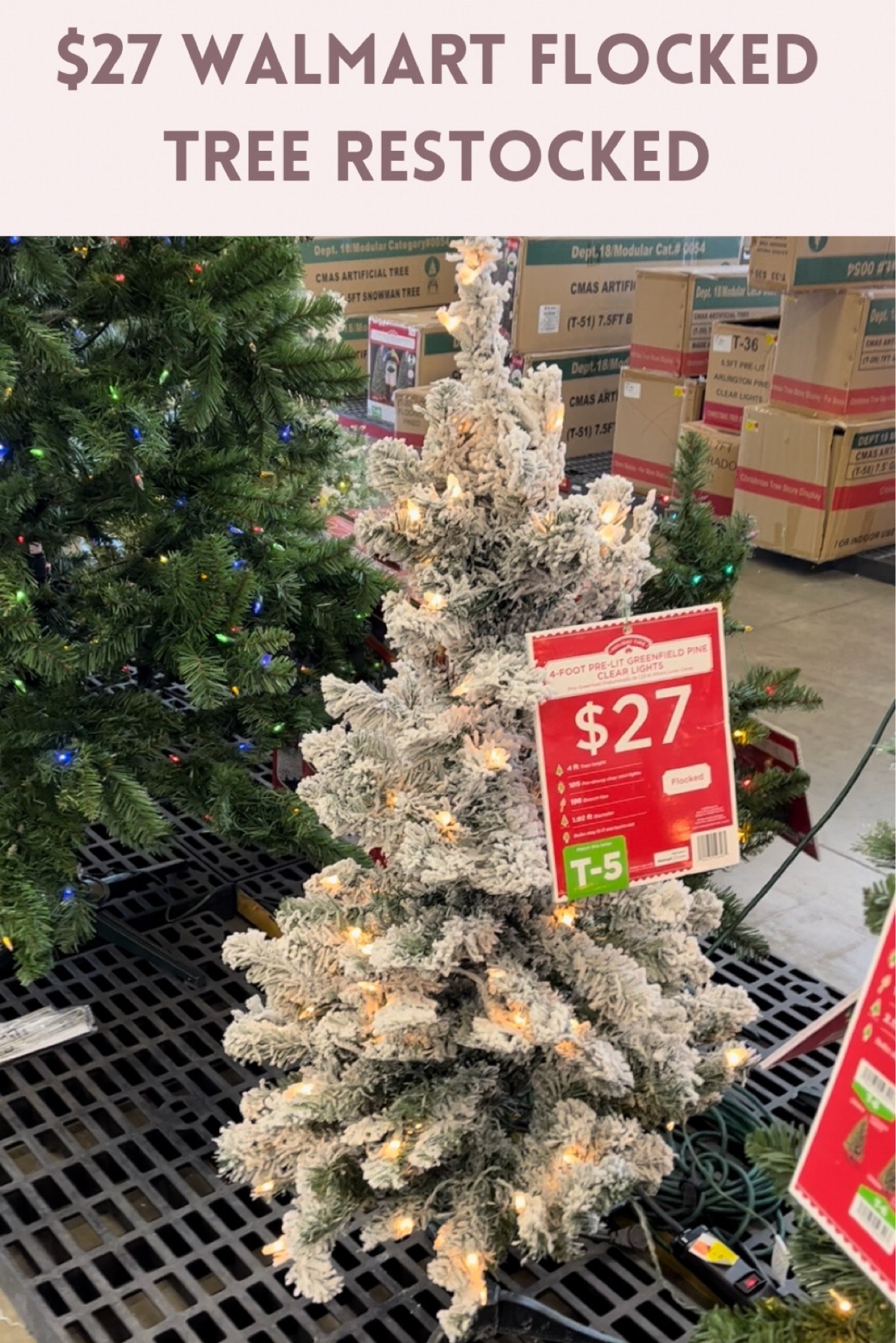 4 foot prelit flocked tree only $25

#LTKHoliday #LTKSeasonal #LTKunder50