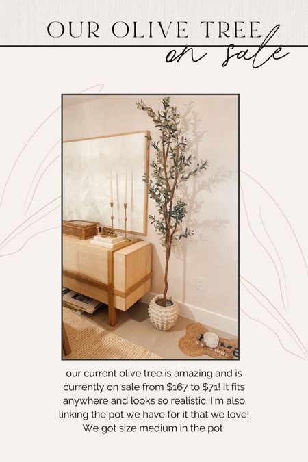 Our olive tree is on sale! 

#LTKhome