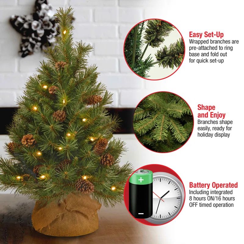 Alastair 3' Lighted Artificial Pine Christmas Tree | Wayfair North America
