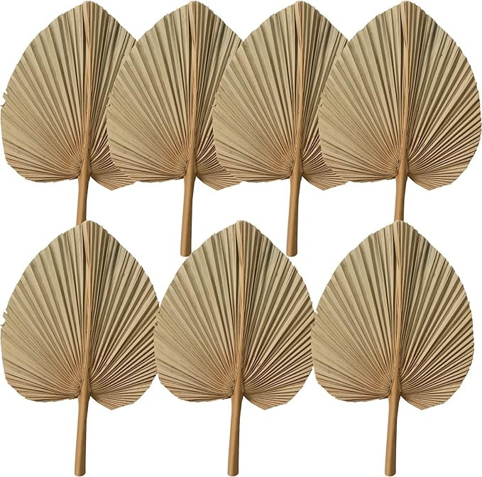 7pcs Large 18" x10" Natural Trimmed Dried Palm Leaves, Dried Palm Spear, Home Boho Wedding Decor,... | Amazon (US)