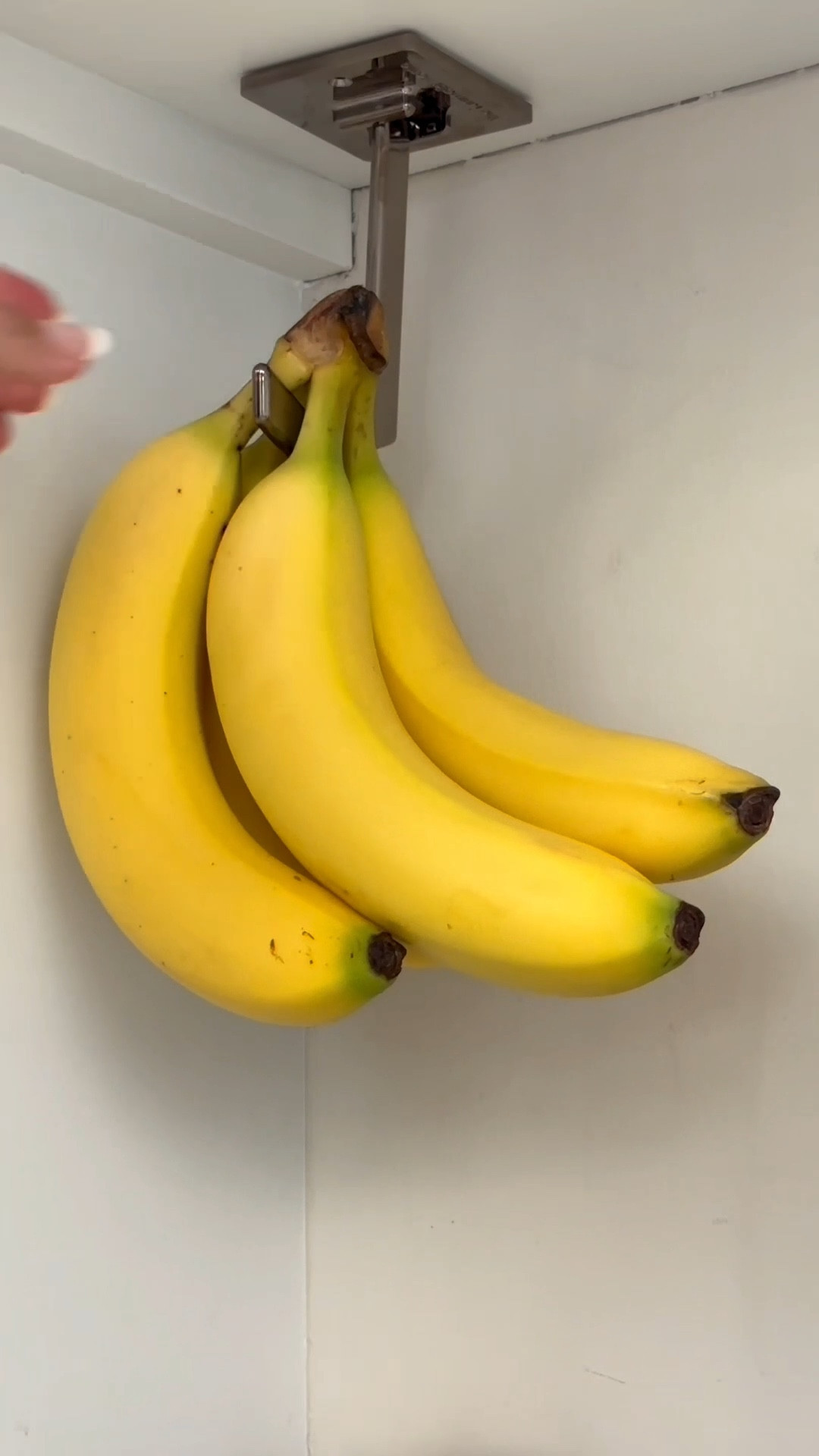 Scroll to shop!! Follow for more finds!!! Xo! 💫


#LTKHome #LTKmomlife #LTKdayinmylife