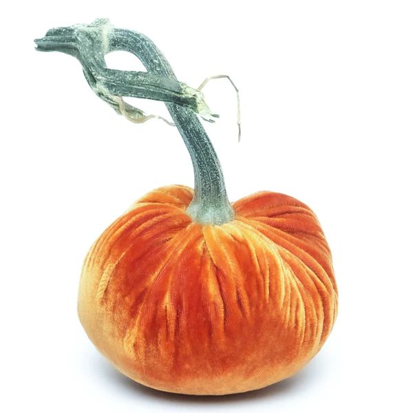 Persimmon Silk Velvet Pumpkin | Hot Skwash