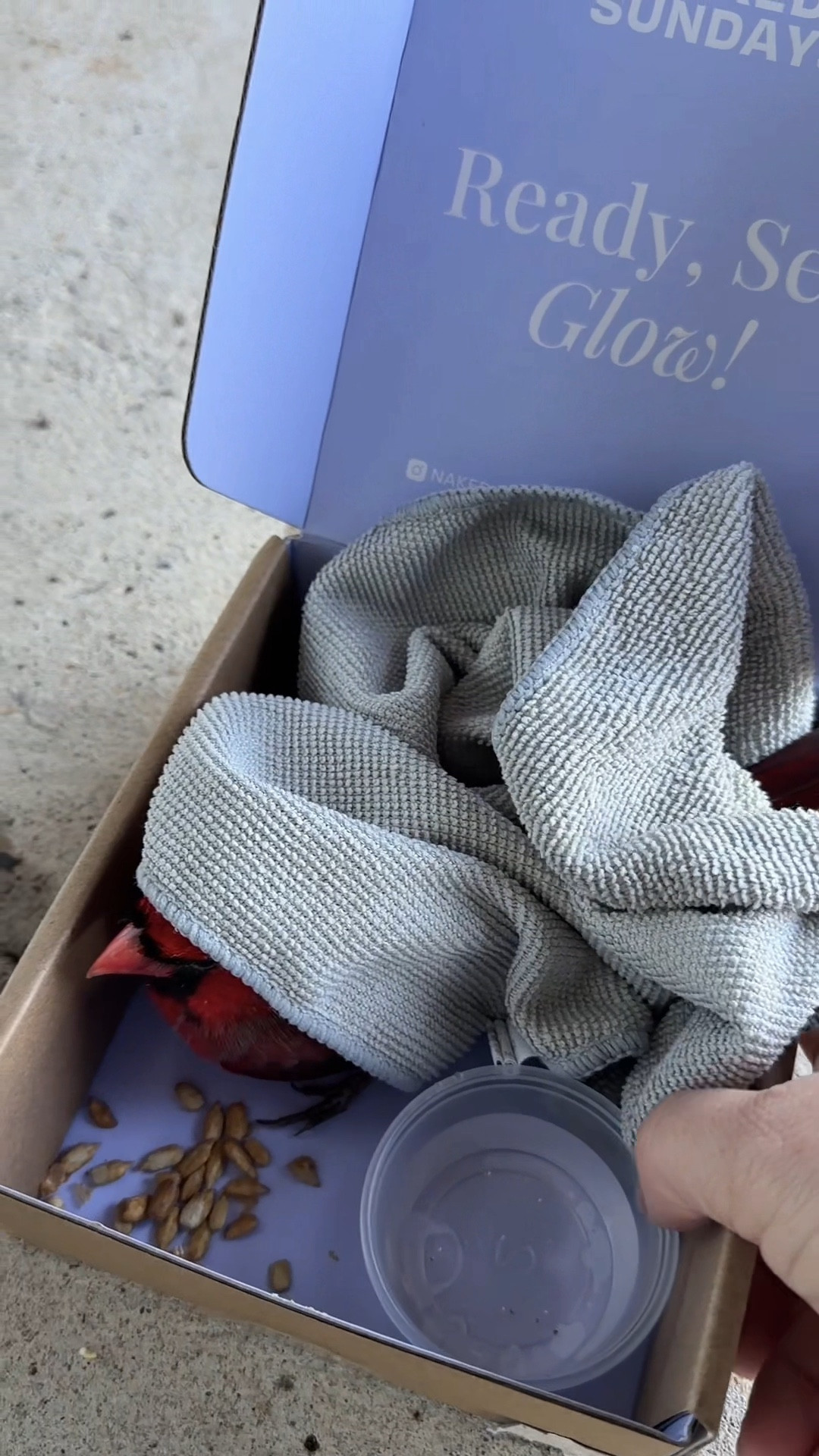 A cute surprise 

#LTKBeauty #LTKGiftGuide