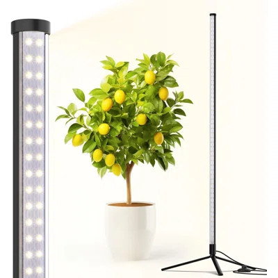 Barrina 4FT T10 Standing Grow Light, 42W, 5000K, Vertical Grow Light, Full Spectrum | Wayfair North America