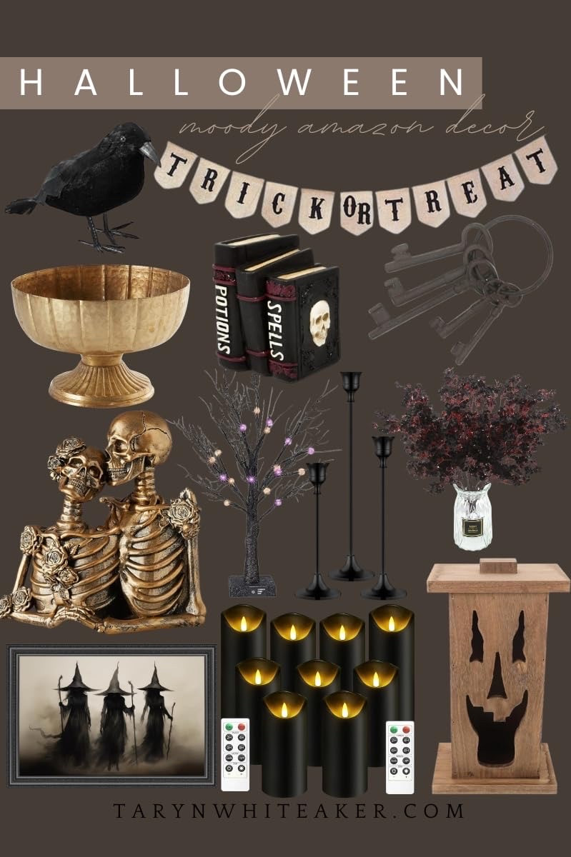 Spooky season, but make it cute 🎃🖤 Loving these Halloween finds for adding just the right amount of festive to your home this October!

#LTKSeasonal #LTKHome