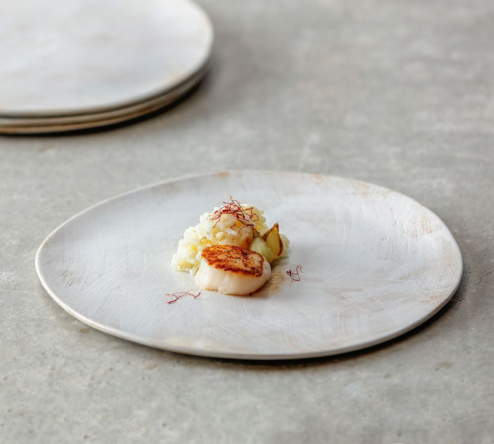 Fortessa Cloud Terre No. 2 Stoneware Dinner Plates - Set of 4 | Pottery Barn (US)