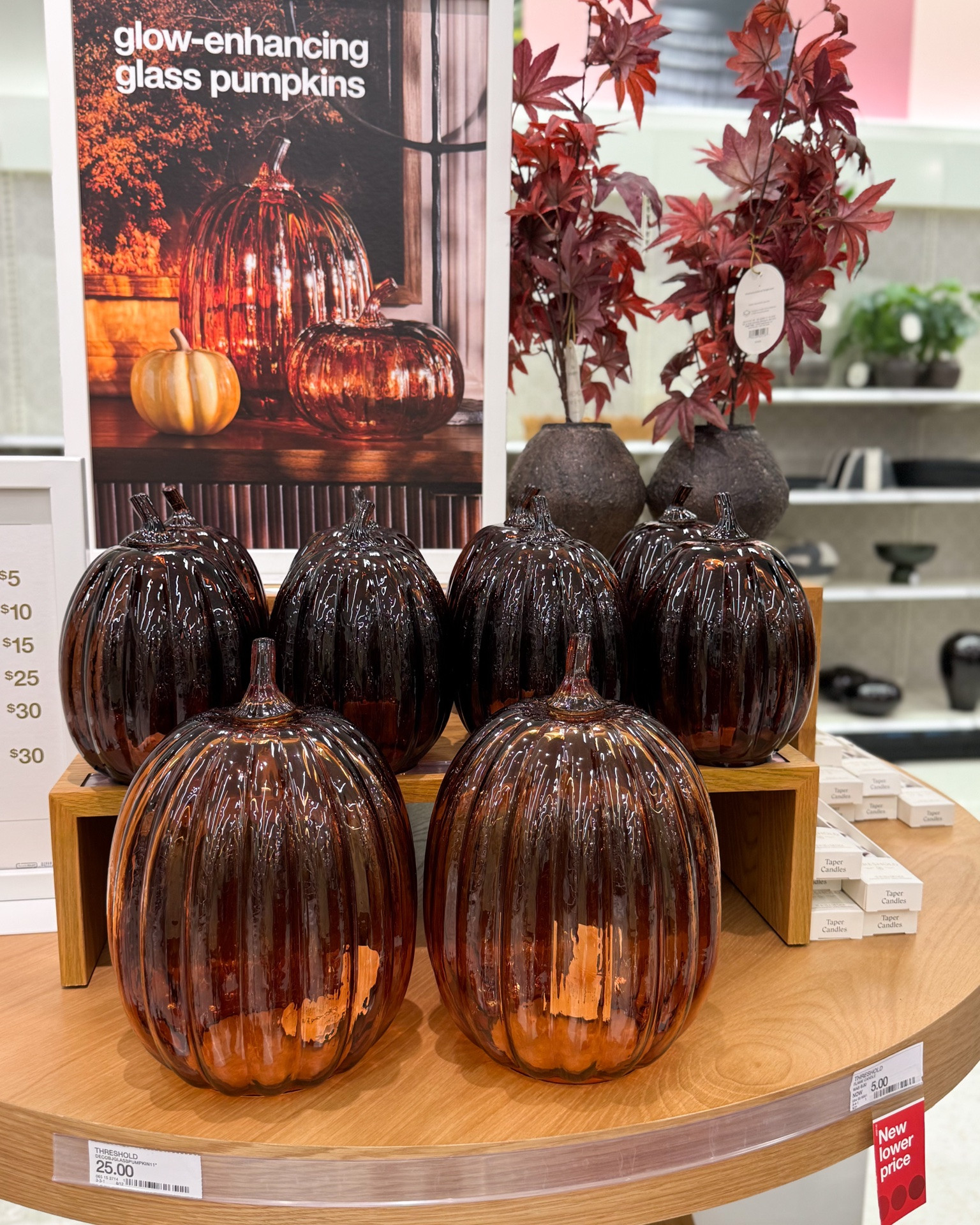 Fall Pumpkins! 

target finds, target fall home

#LTKHome #LTKSaleAlert