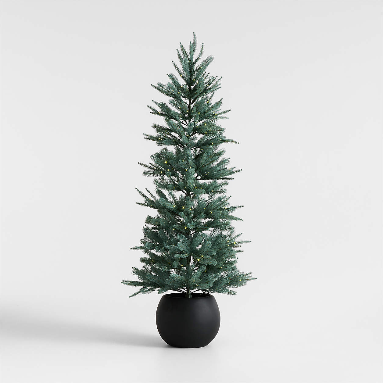 Potted Pre-Lit Blue Spruce Tree 6' + Reviews | Crate & Barrel | Crate & Barrel