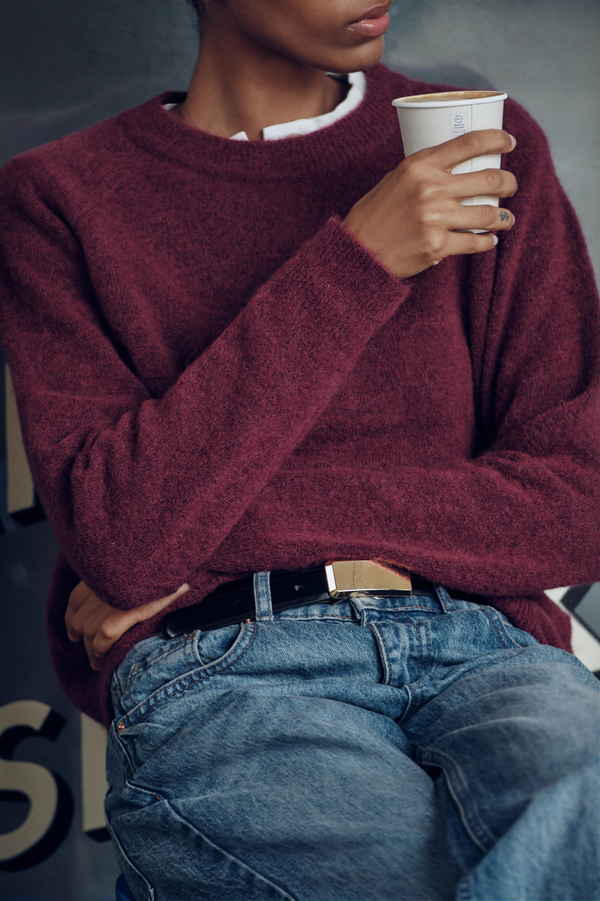 WOOL AND ALPACA BLEND JUMPER | Zara Canada