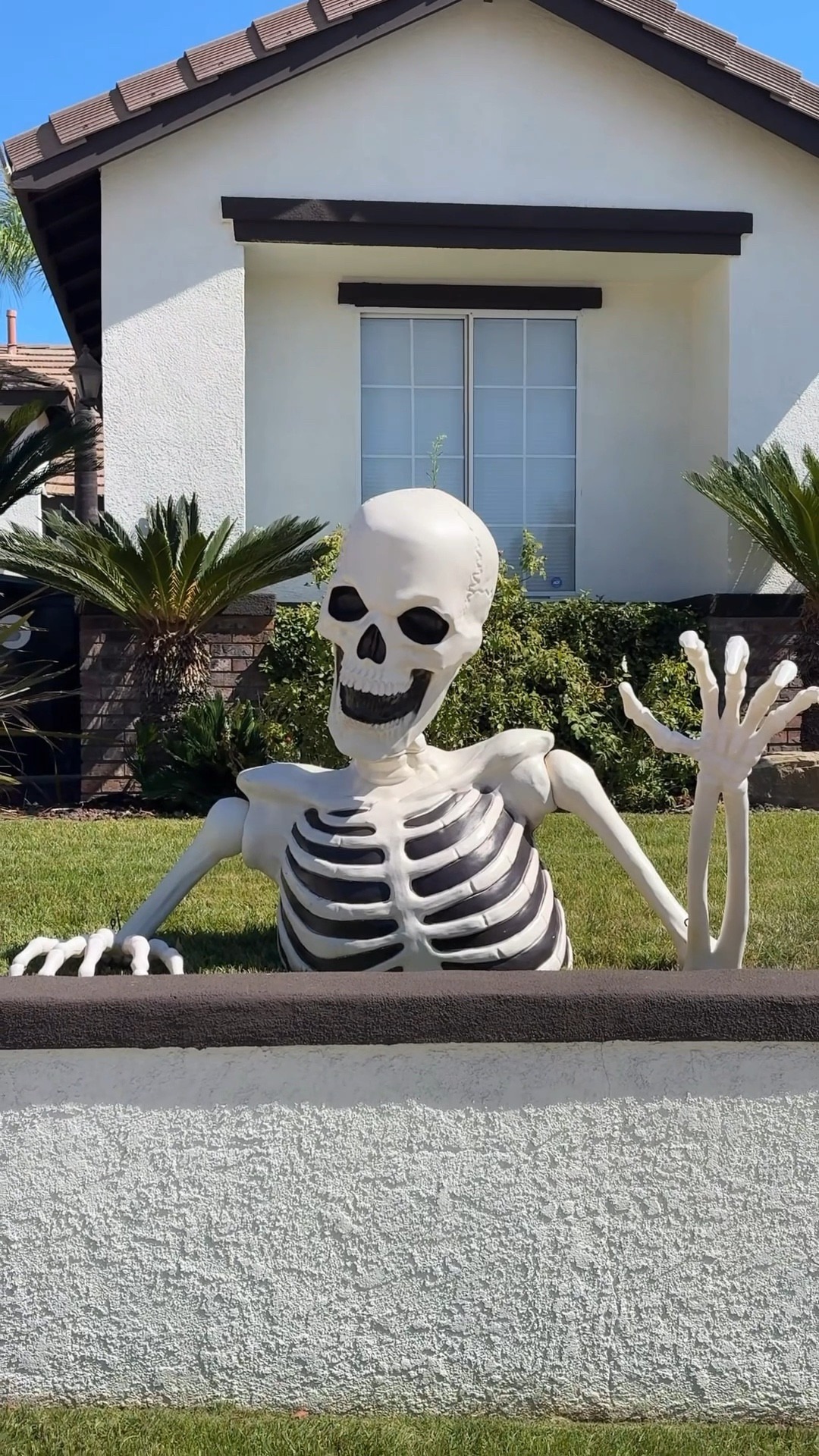 Spooky season going strong 

#LTKHome #LTKHalloween #LTKSeasonal