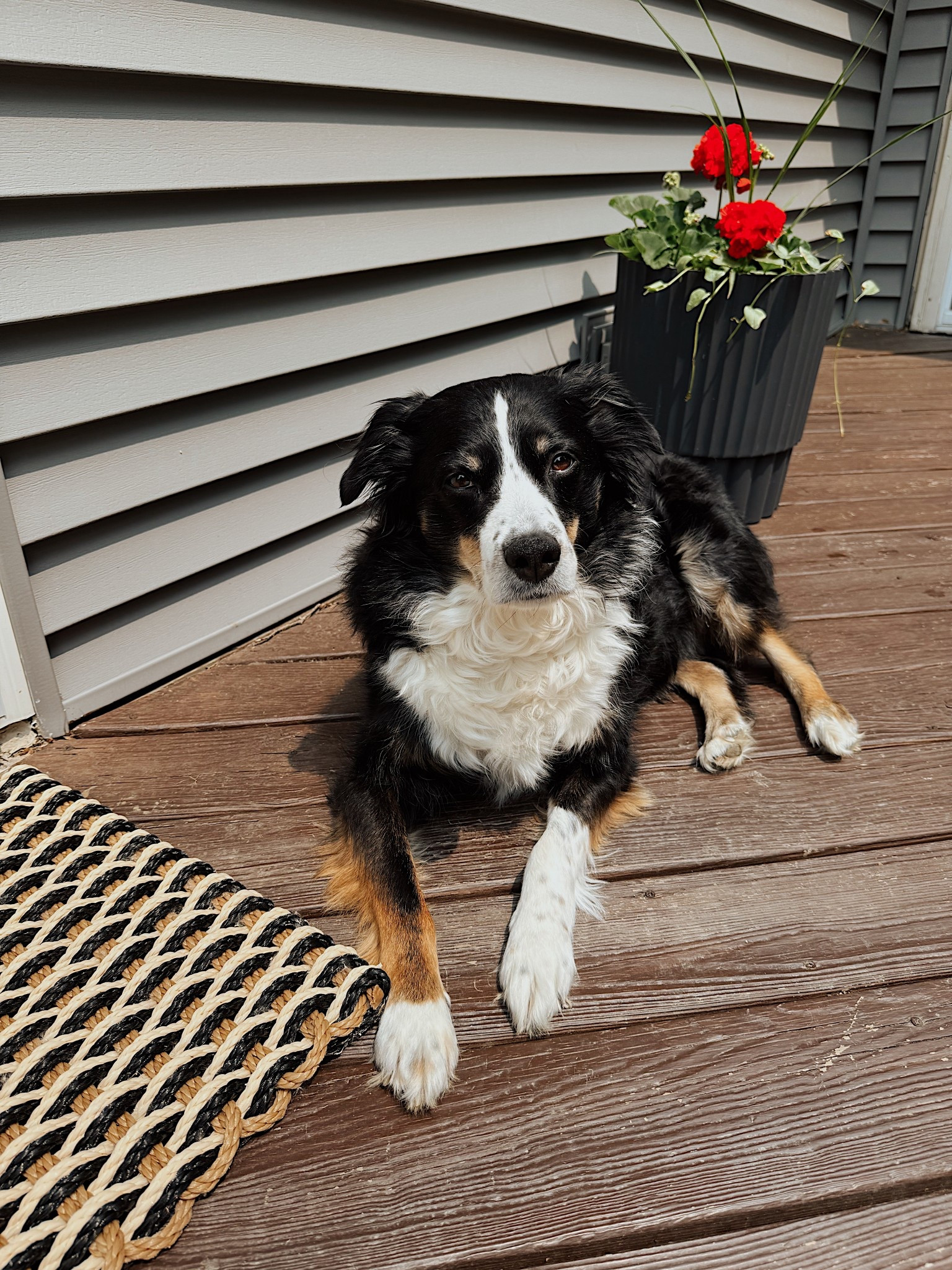 outdoor doormat from target - only $30!


#LTKHome #LTKSummerEdit #LTKFindsUnder50