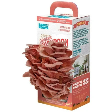 Back to the Roots Organic Pink Grow Kit Harvest Gourmet Oyster Mushrooms | Walmart (US)