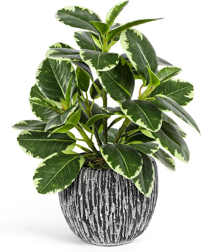 Artificial Plants Indoor Outdoor, Faux Variegated Oak Leaf Plant, Fake Potted Plants Artificial D... | Amazon (US)