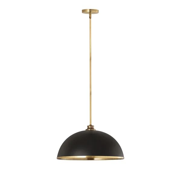 Hagberg 1 - Light Single Pendant | Wayfair North America