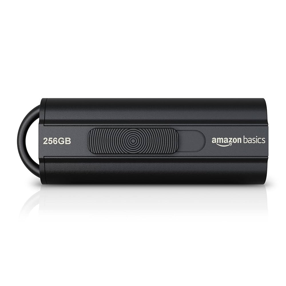 Amazon Basics 256 GB Ultra Fast USB 3.1 High Capacity Flash Drive for Data Transfer and Storage, ... | Amazon (US)