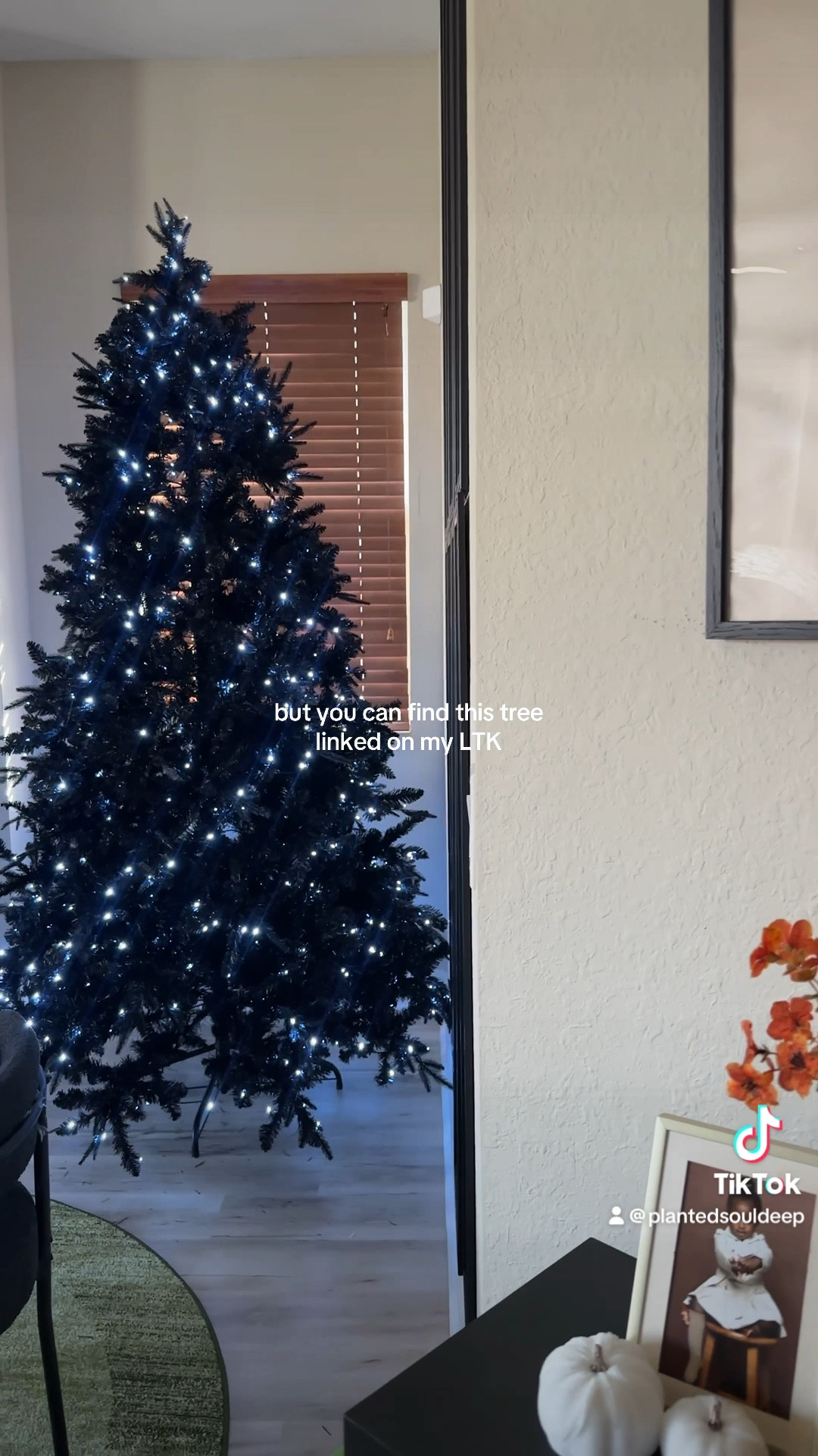 Wayfair black 8ft christmas tree 😍😍🖤

#LTKHoliday #LTKHome #LTKSeasonal
