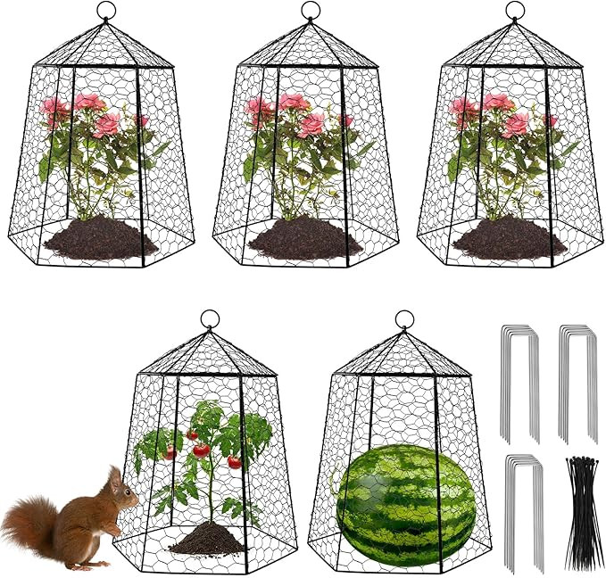 18.5" x 13" Large Plant Protection Cage, 5 Pcs Chicken Wire Cloche, Metal Protectors for Garden P... | Amazon (US)