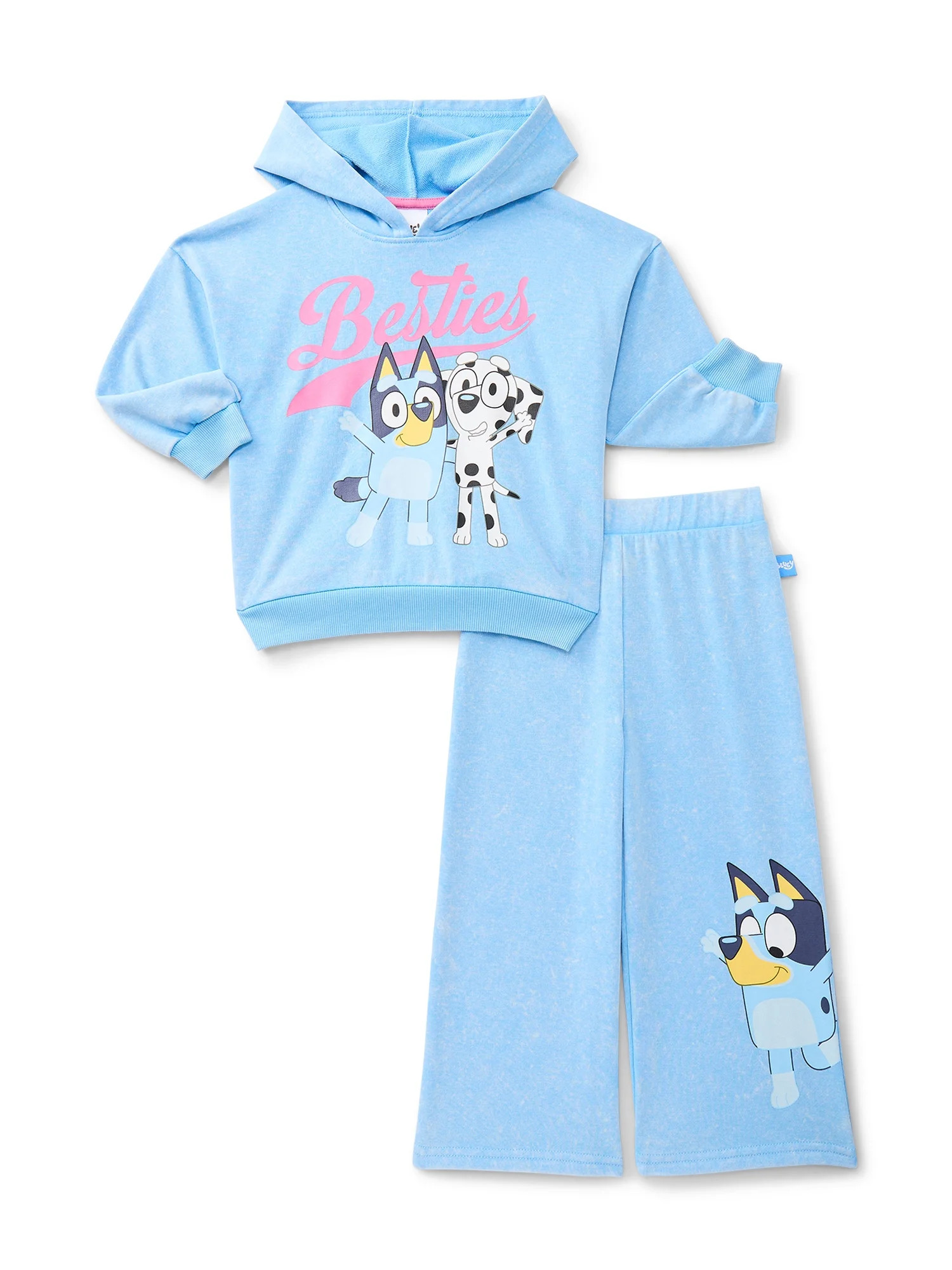 Bluey Toddler Girls Long Sleeve Graphic Hoodie and Matching Sweatpants Set, 2-Piece, Sizes 12M-5T | Walmart (US)