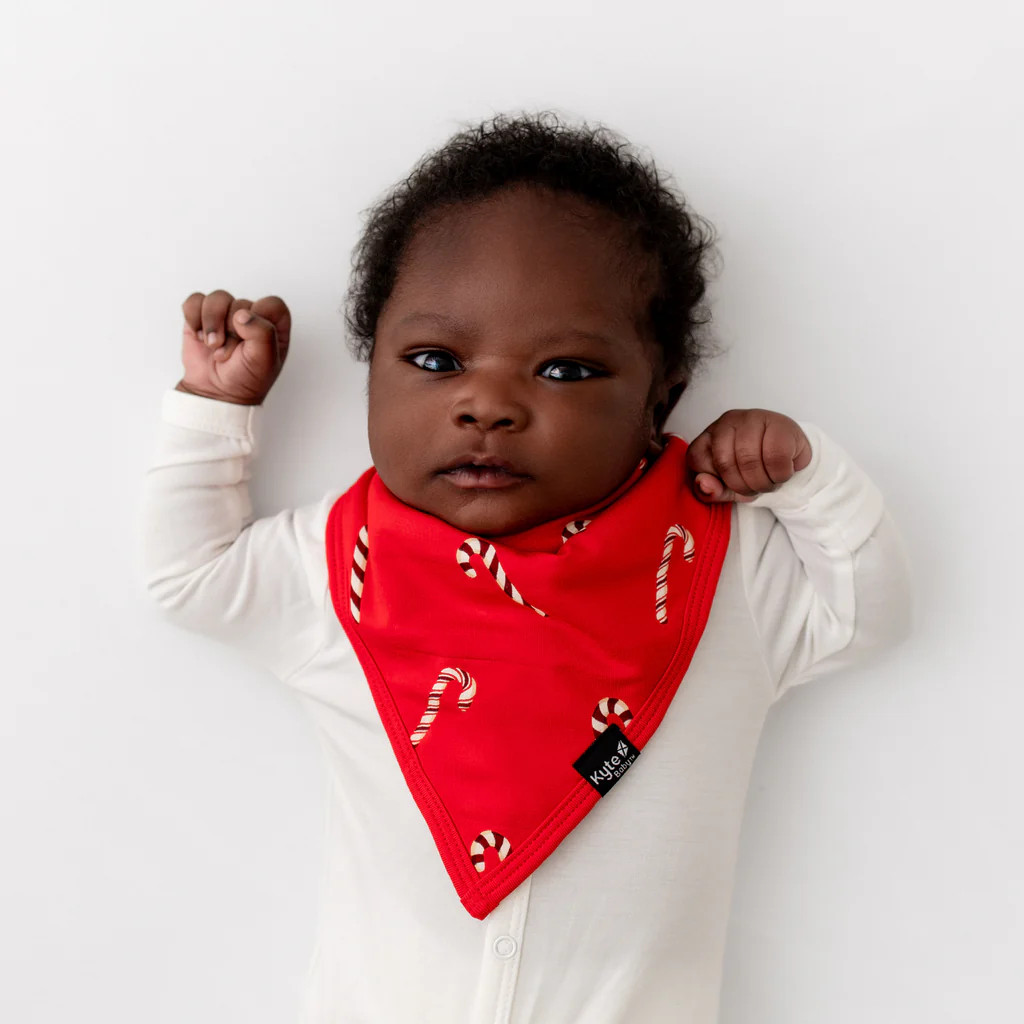 Bib in Candy Cane | Kyte Baby