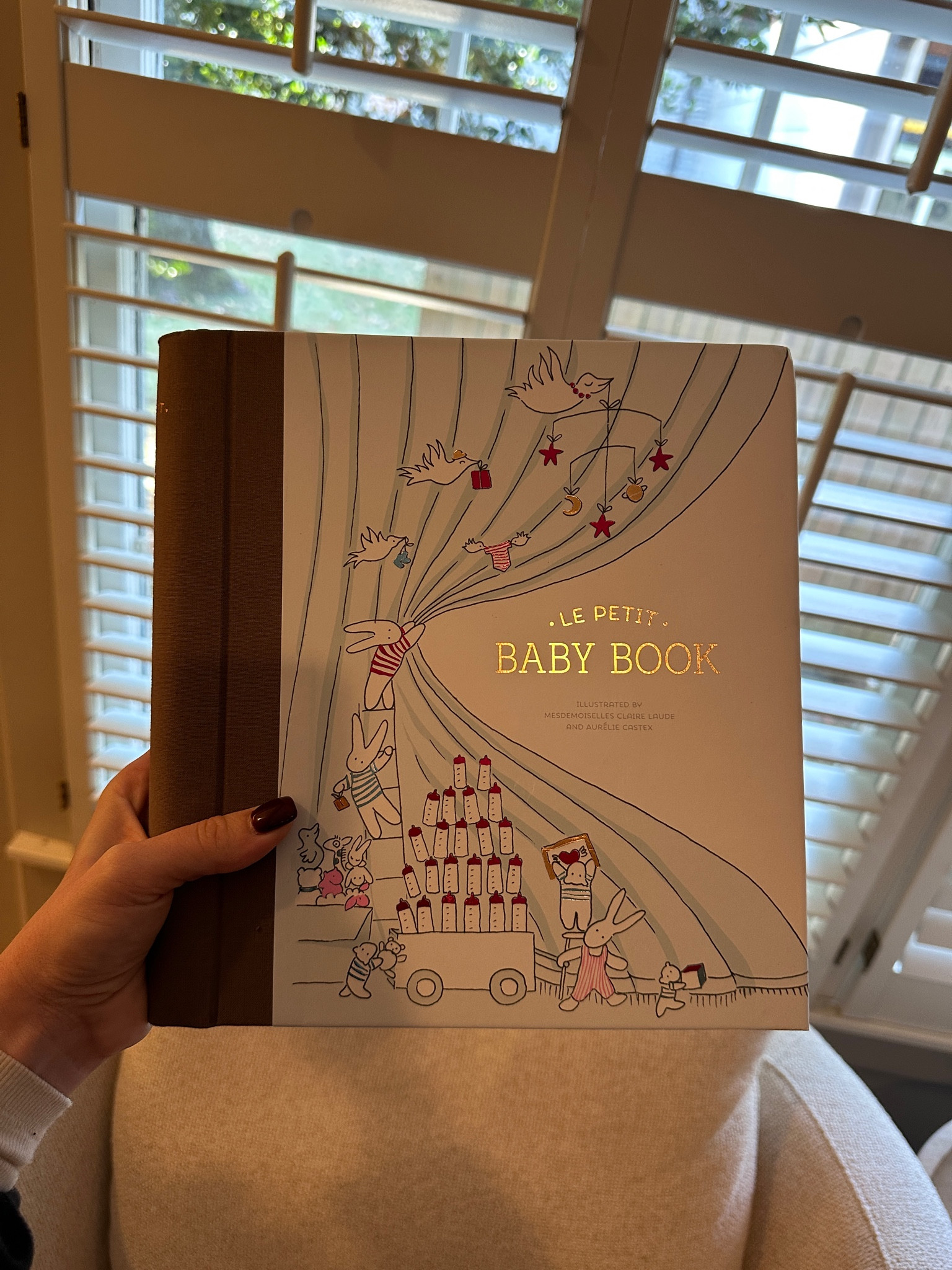 Loving this baby book I got for Margot! It has so many personal details and places to put special things. Great price point too! 

#LTKbaby #LTKfamily