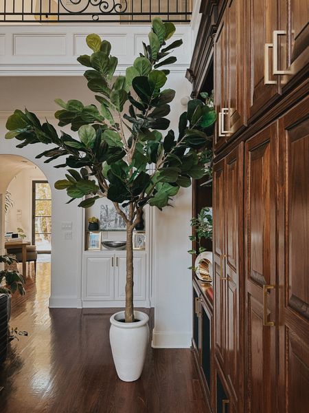 The new tall tree collection from Nearly Natural is amazing! This is our new 10’ fiddle fig! 

#LTKhome