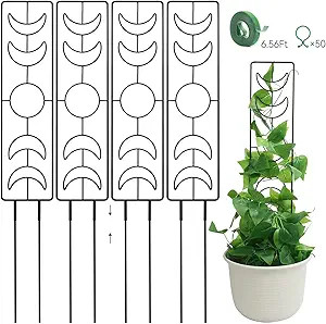 Trellis for Climbing Plants Indoor, ZOUTOG 25 inch Metal Trellis for Potted Plants, 4 Pack Plant ... | Amazon (US)
