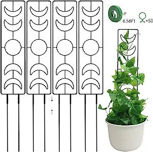Trellis for Climbing Plants Indoor, ZOUTOG 25 inch Metal Trellis for Potted Plants, 4 Pack Plant ... | Amazon (US)