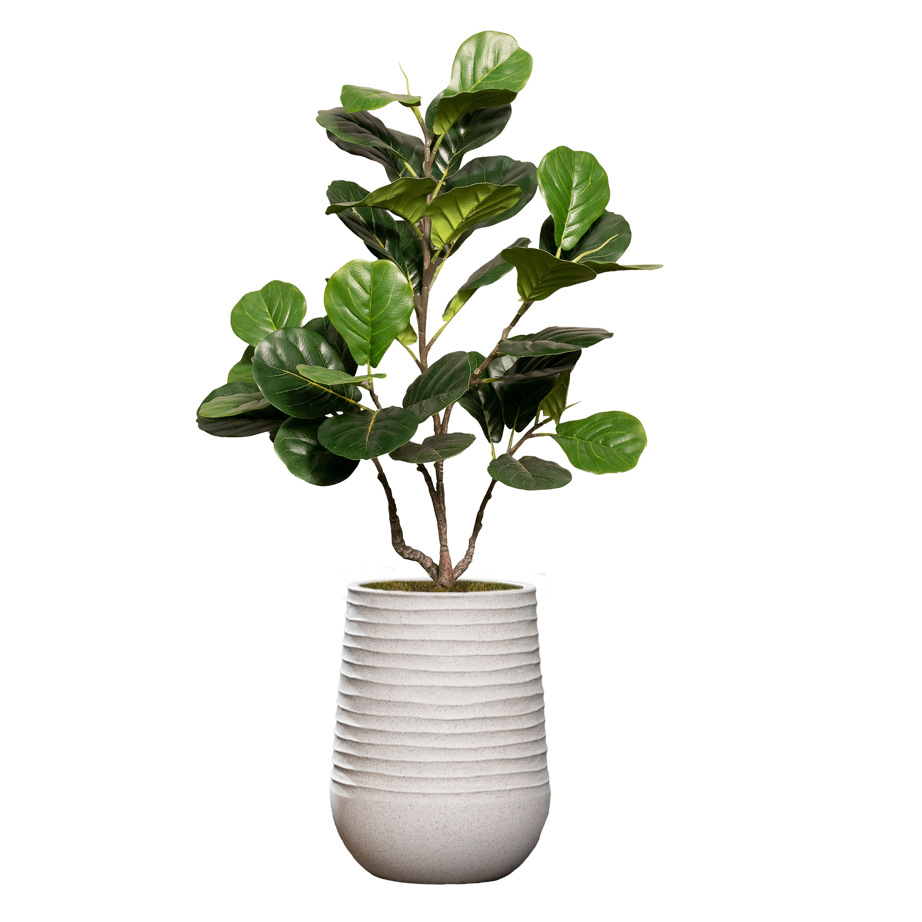 Vintage Home Artificial Faux Fig Tree 52 In. High Fake Plant - Green | Bed Bath & Beyond