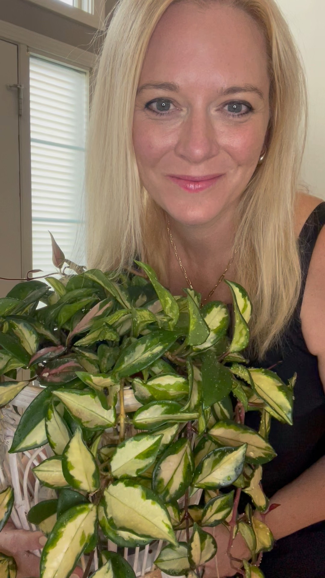 It's been awhile since I introduced myself. And for those of you that are new, I want to let you know me a bit better.
My name is Liz, and I live in Omaha Nebraska. I have three kids and I have recently became a single mom of a son who is 17, a daughter who is 14 and another daughter who is 8.5. We live with a very spirited cat named Templeton. He's 3 years old.
I am currently growing over 300 plants in my house.
Mostly in household conditions. 2/3 of those plants are Hoyas. I move the majority of my plants outside during the summer and I share this experience with you.
I originally started this page to have a spot to celebrate little milestones of hoya growth with likeminded people. Specifically because my family didn't understand my excitement. This page quickly grew que to the enchantment of these Hoyas! As people continued to show up, I realized it was important for me to share what is working for me and what is not.
I've never understood why chefs don't share their awesome recipes. So here I am, sharing every little tip, product, and exciting mile stone with you.
Thank you for showing up every day! Thank you for the support! And thank you most, for sharing this beautiful hobby with me!

#ilovehoyas #hoyacollector #hoyahead #hoyaappreciation #hoyacollection #plantsmakemehappy #ihavethisthingwithplants #hoya #easilydistractedbyplants #hoyacollection

#LTKFindsUnder100 #LTKHome #LTKFindsUnder50