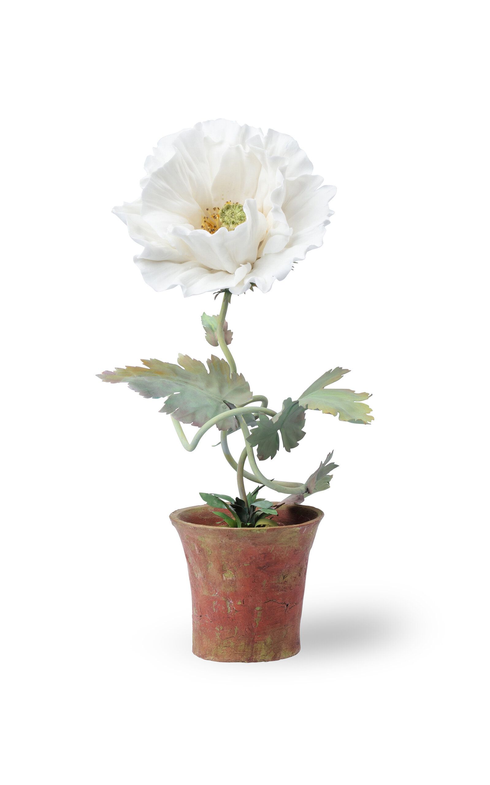 Handcrafted Porcelain White Poppy | Moda Operandi (Global)