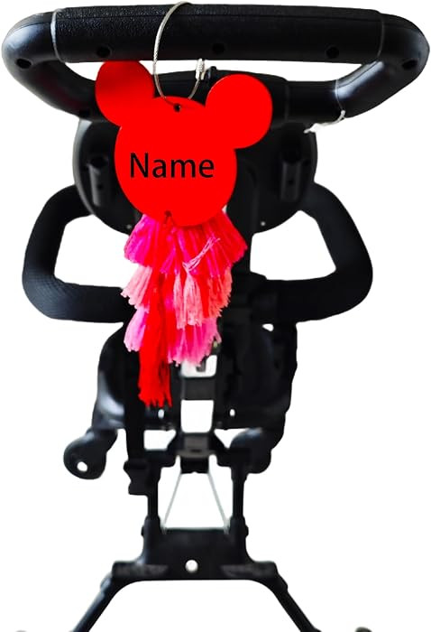 Stroller Family Name Tag for Theme Park Wheelchair Stroller Identifier Banner Amusement Park Stro... | Amazon (US)