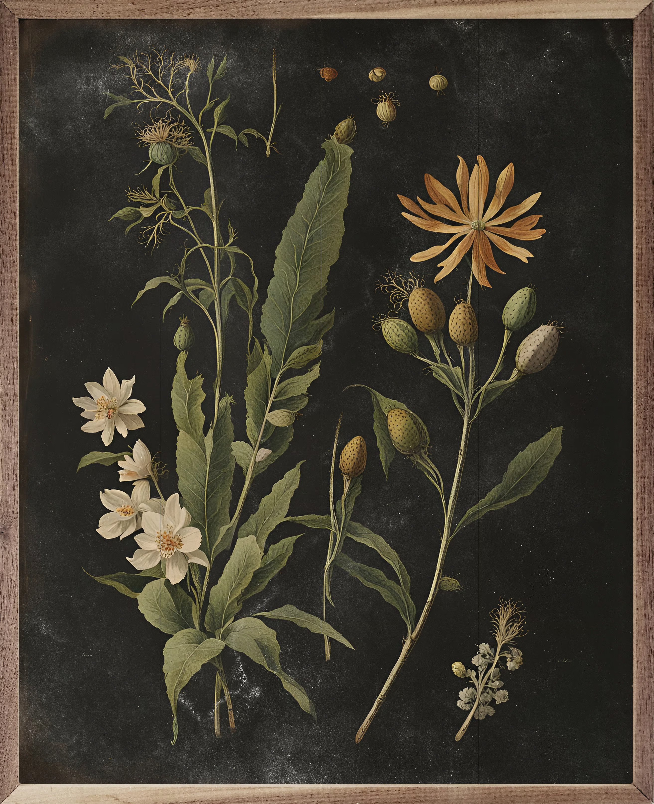 Vintage Cream Floral Print Black | Wayfair North America