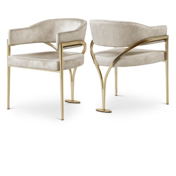 Madelyn Velvet Dining Chair (Set of 2) | Wayfair North America