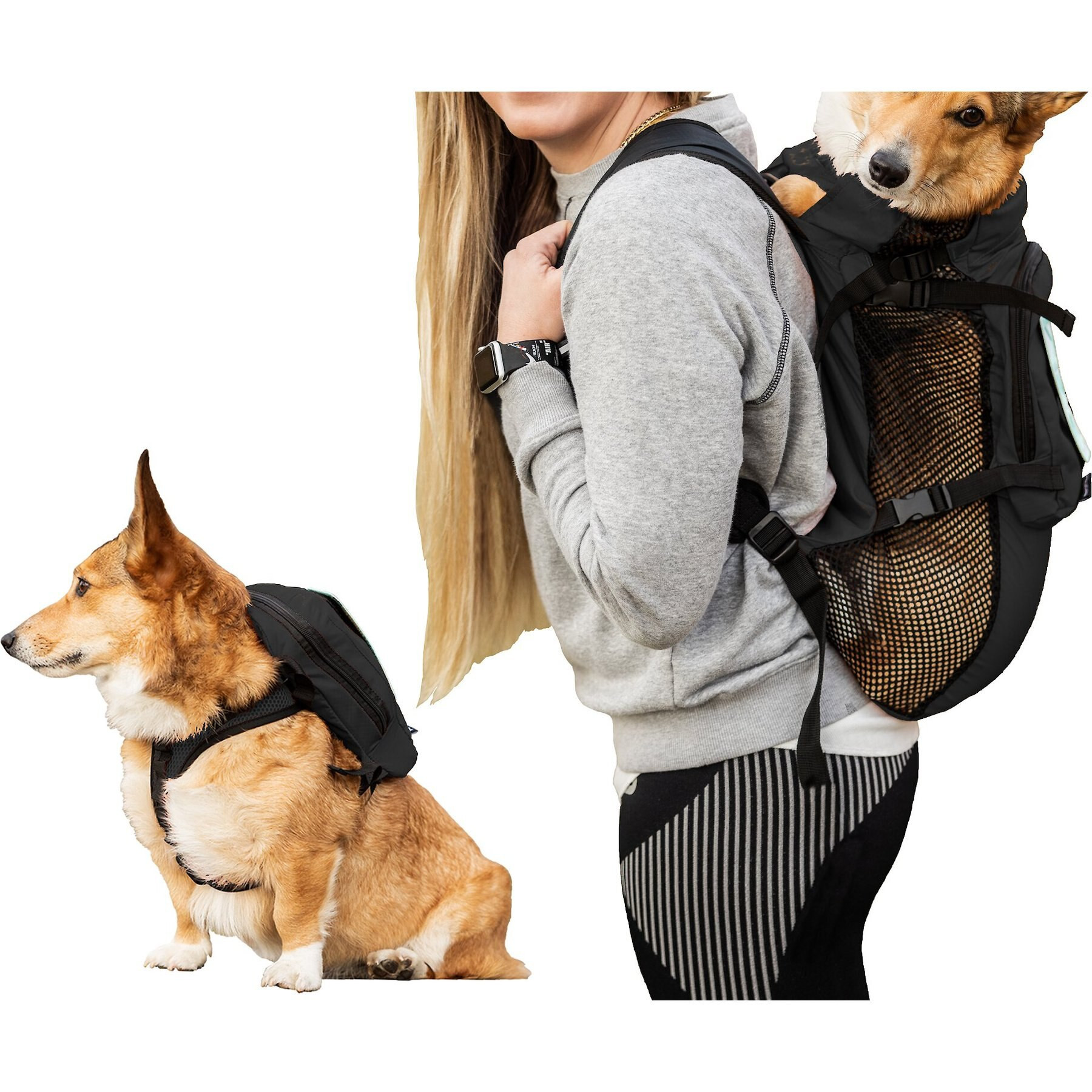 K9 Sport Sack Walk-On Packable Backpack Dog Carrier, Black, Medium | Chewy