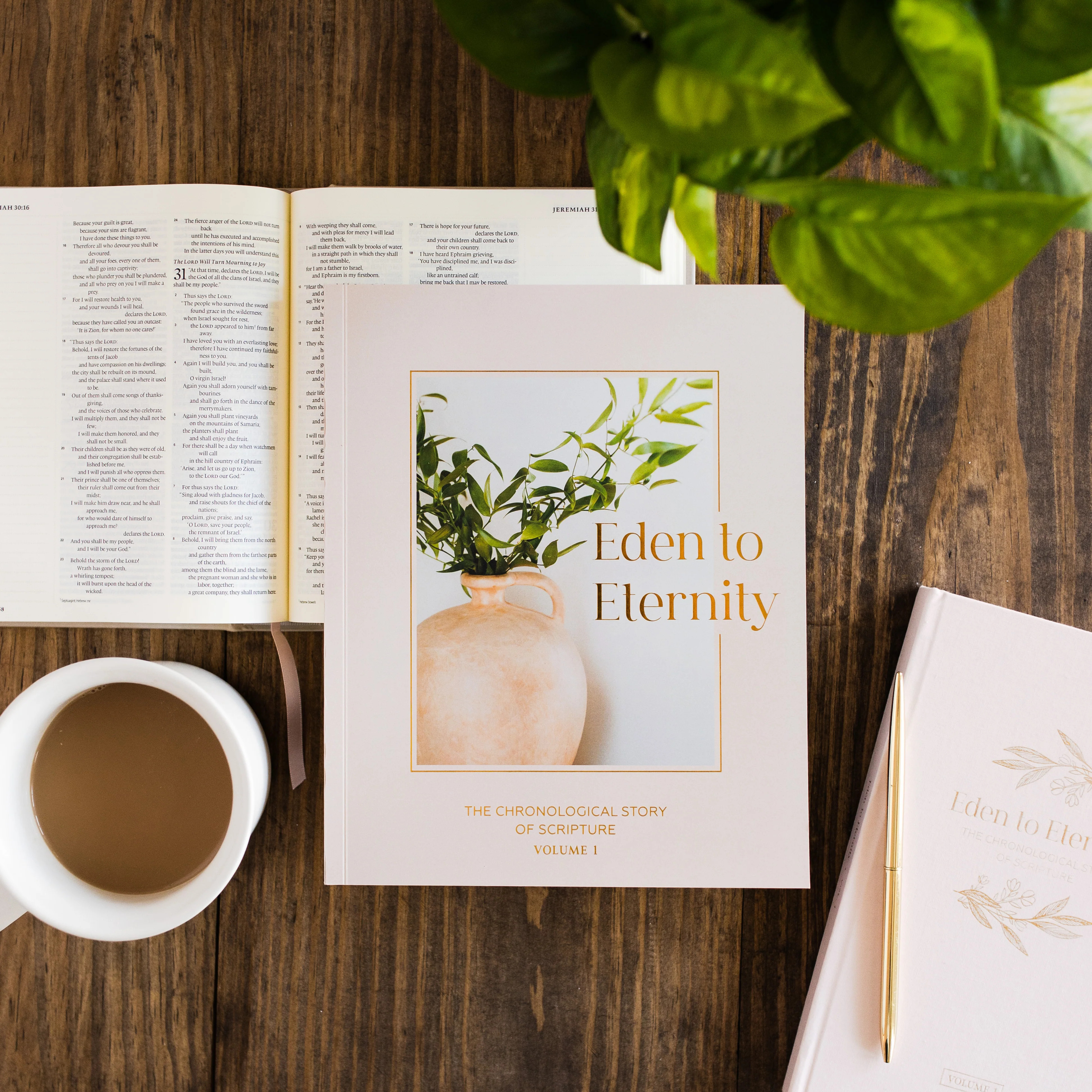 Eden to Eternity | Chronological Bible Study | Volume 1 | The Daily Grace Co.